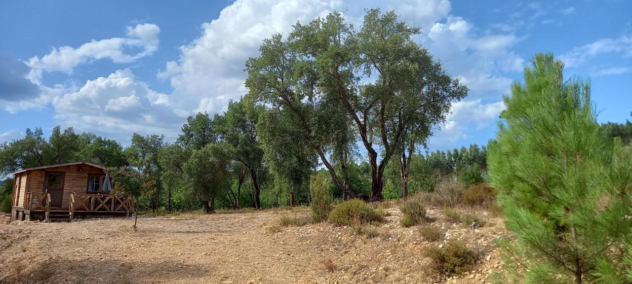 Quinta D' Luzarcoiris Villa Arganil Buitenkant foto