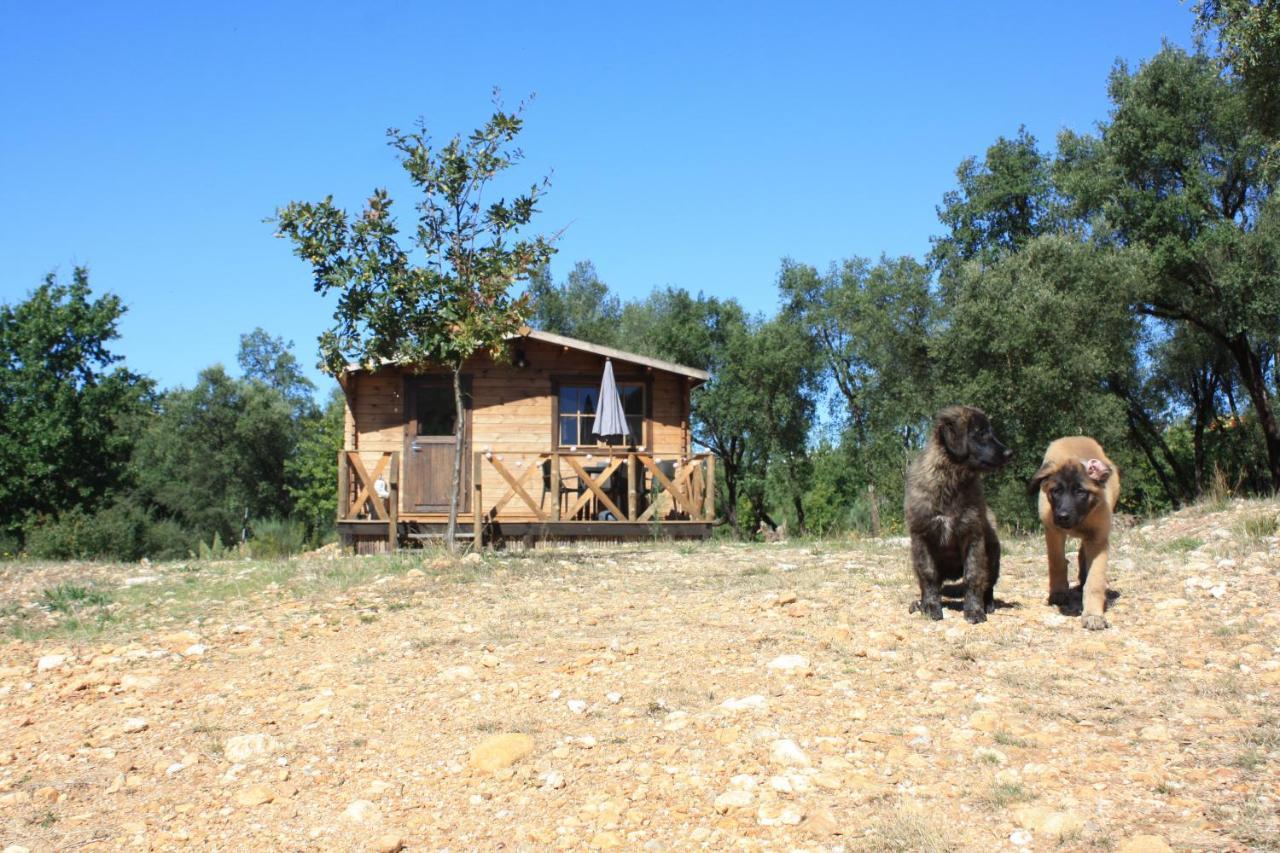 Quinta D' Luzarcoiris Villa Arganil Buitenkant foto