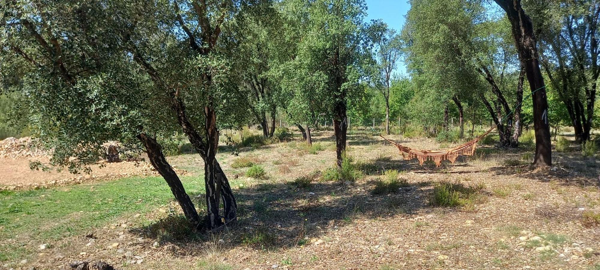 Quinta D' Luzarcoiris Villa Arganil Buitenkant foto